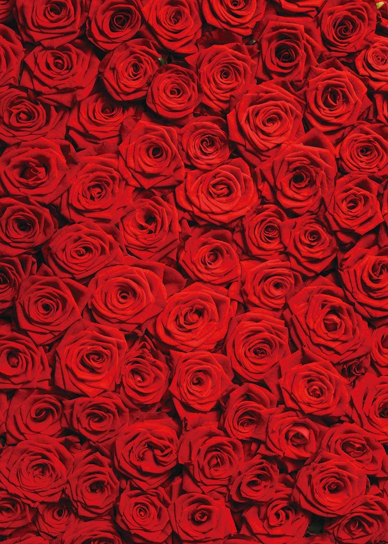 INRUI RUINI Red Rose Floral Wedding Photography Backdrop Rose Wall Valentines Day Wedding Bridal Shower Party Decorations Banner 5x7FT - Image 5